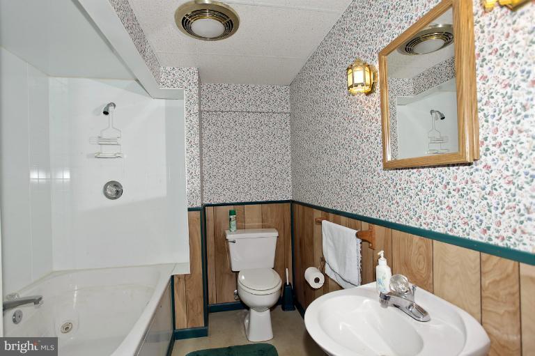 617 Trixsam Road Sykesville, MD 21784 - Photo 9 of 20 Lower Level
