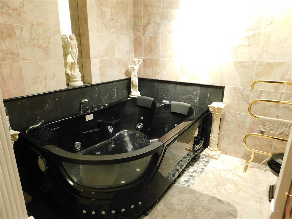 155 Marshall Street Safety Harbor, FL 34695 - Photo 19 of 62 a close view of sink and tap