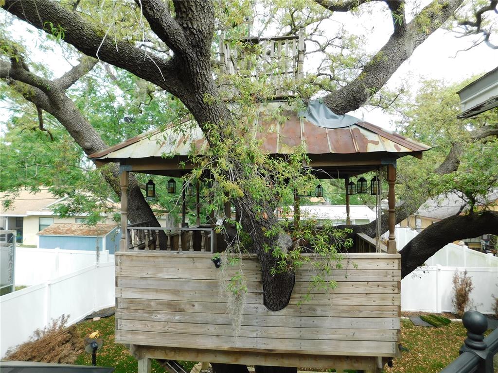 155 Marshall Street Safety Harbor, FL 34695 - Photo 40 of 62 a view of outdoor space yard and patio