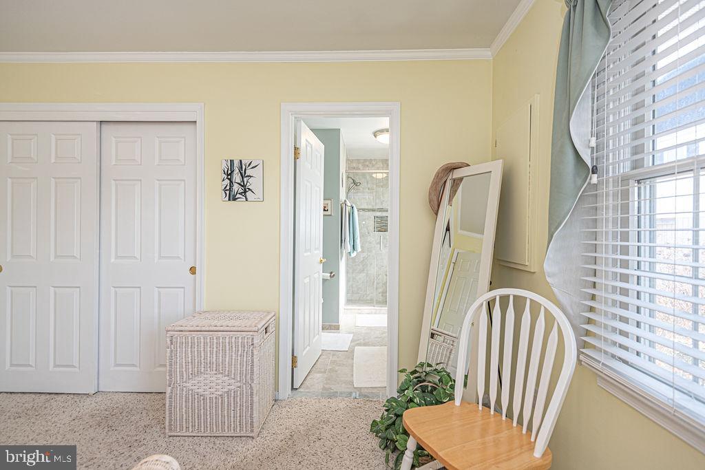 10506 Exeter Road Ocean City, MD 21842 - Photo 49 of 59 Primary bedroom