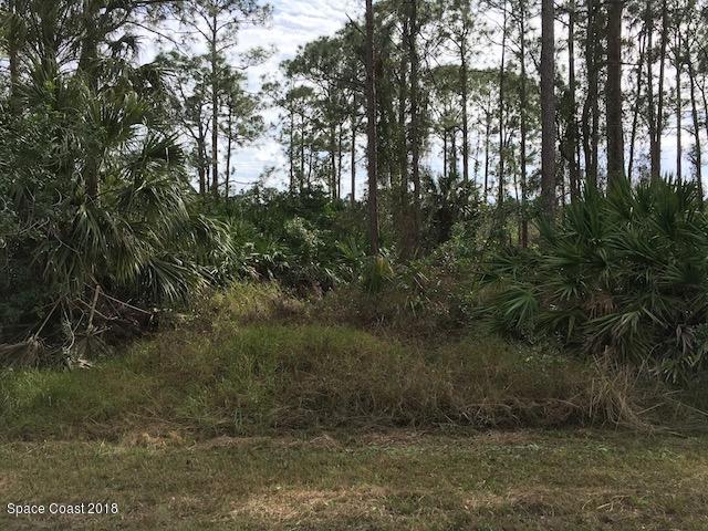 352 Tipton Road Southwest Palm Bay, FL 32908 - Photo 2 of 14 IMG_0093