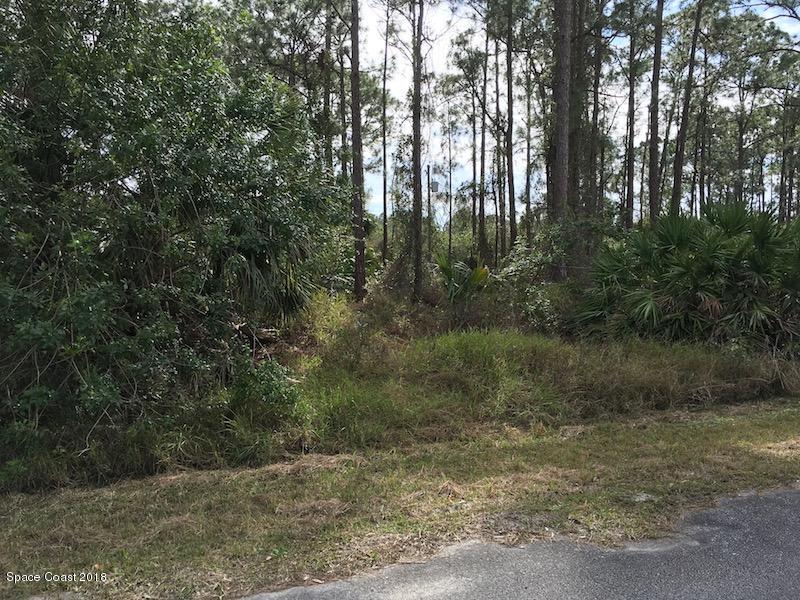 352 Tipton Road Southwest Palm Bay, FL 32908 - Photo 13 of 14 IMG_9205