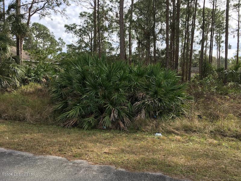 352 Tipton Road Southwest Palm Bay, FL 32908 - Photo 14 of 14 IMG_9400