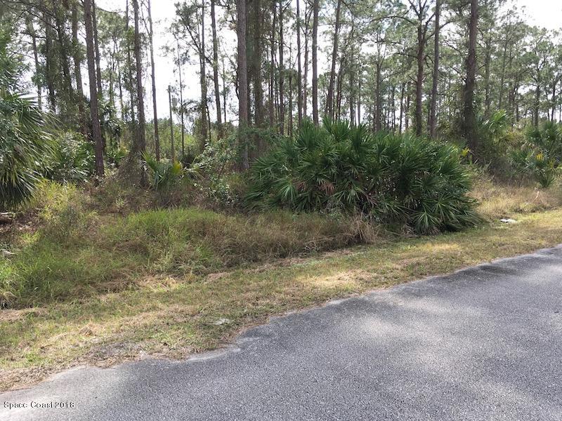 352 Tipton Road Southwest Palm Bay, FL 32908 - Photo 10 of 14 IMG_5477