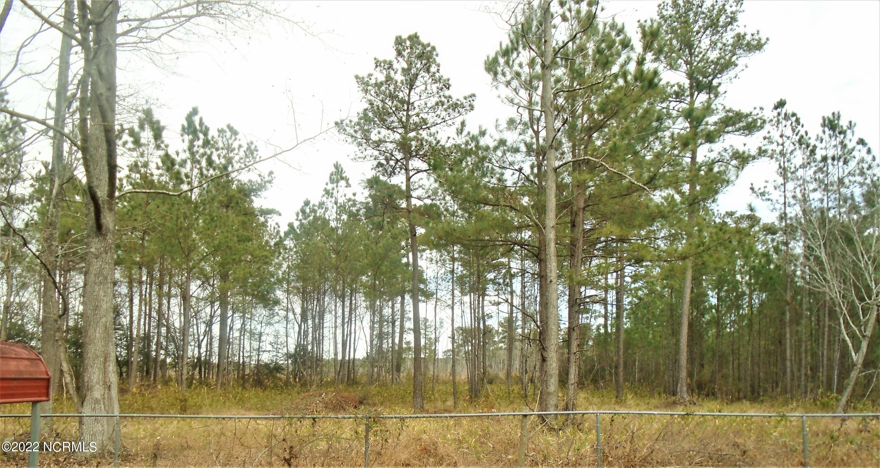 222 Brake Road Rocky Mount, NC 27801 - Photo 11 of 39 Back yard extends beyond the fence