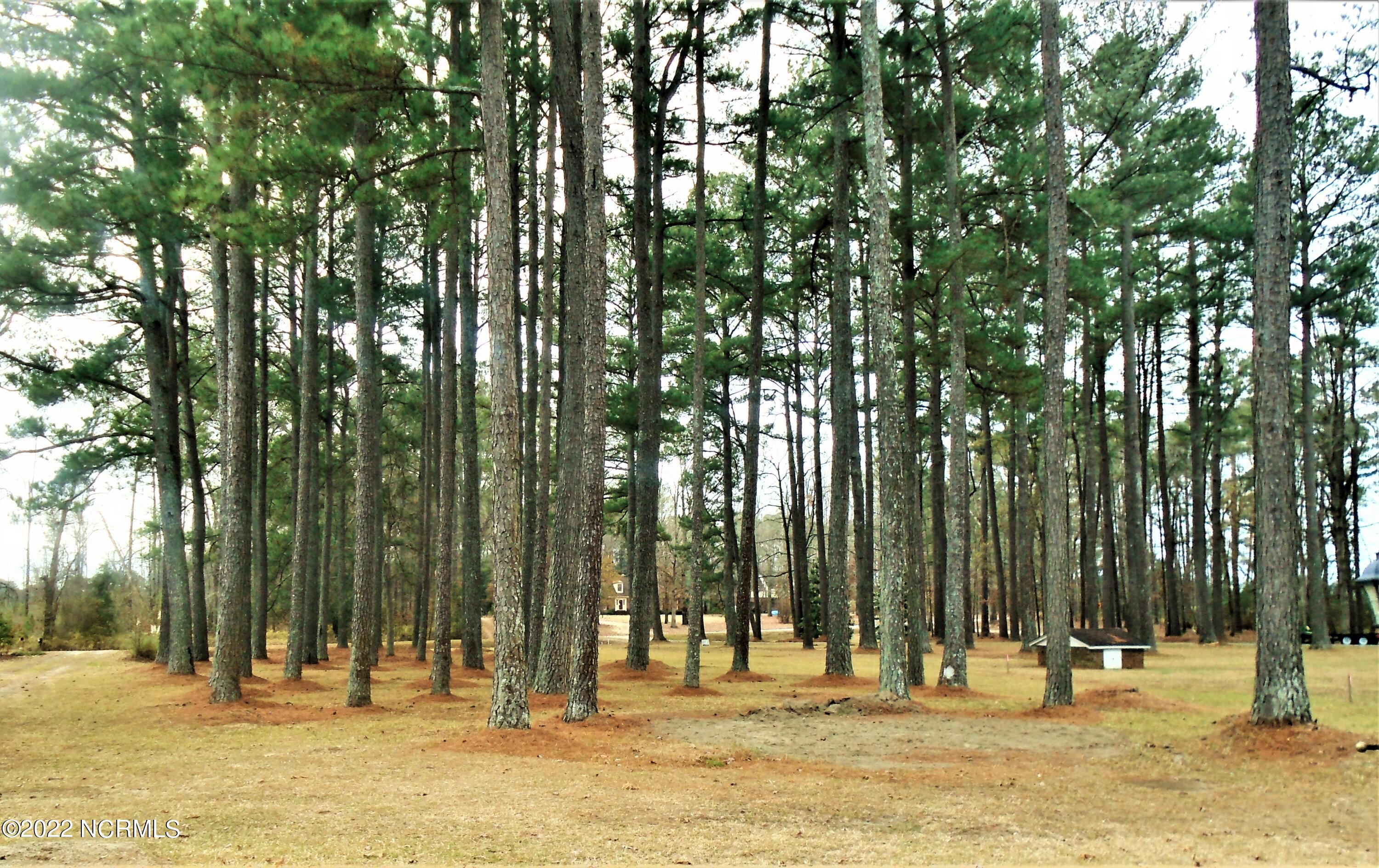 222 Brake Road Rocky Mount, NC 27801 - Photo 5 of 39 Front Yard