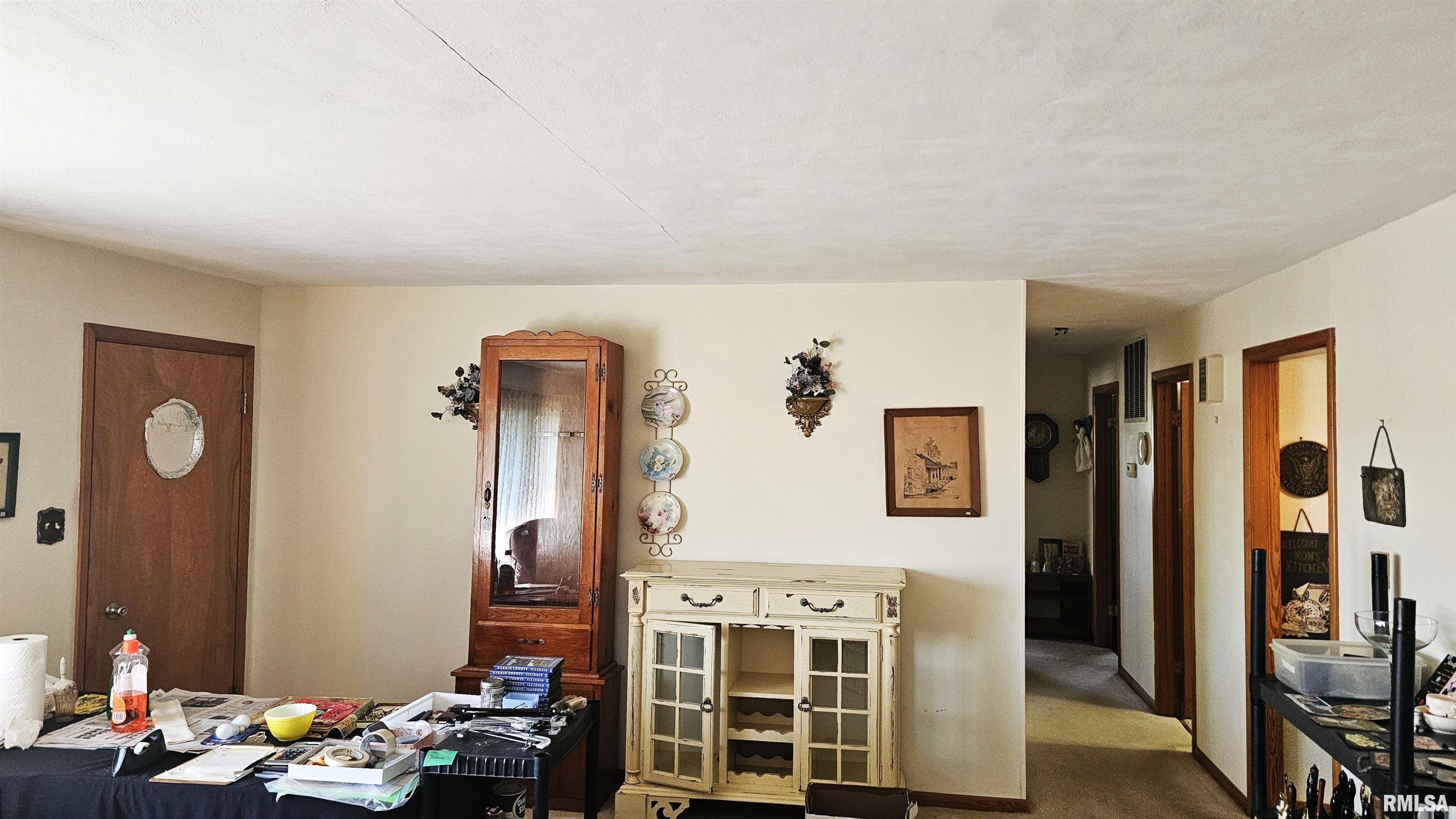 108 Highway 1 Cave In Rock, IL 62919 - Photo 6 of 30