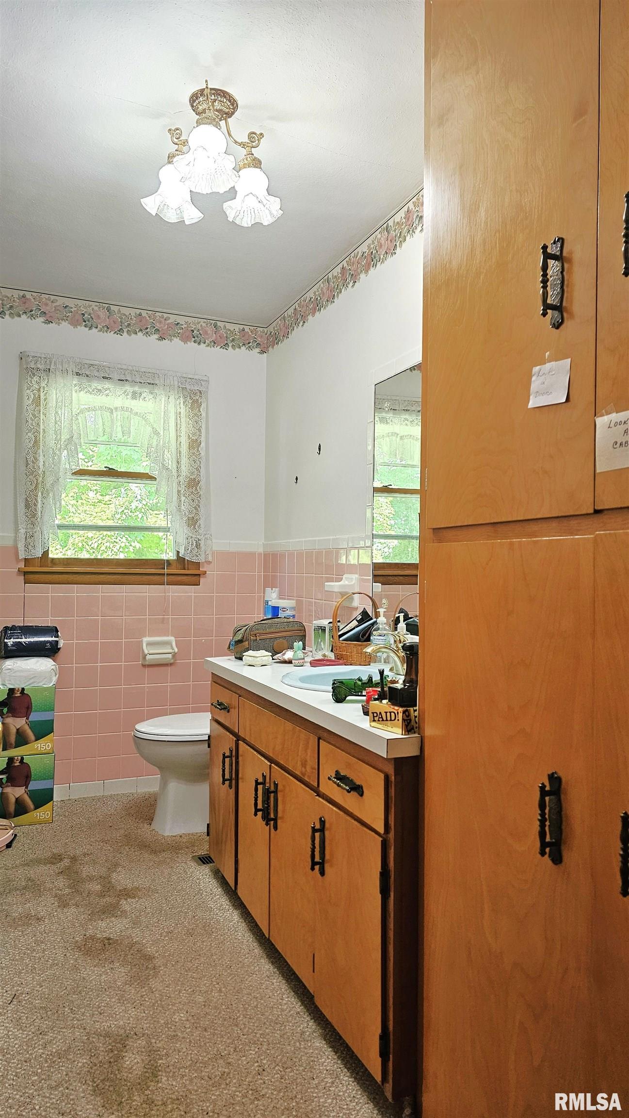 108 Highway 1 Cave In Rock, IL 62919 - Photo 10 of 30