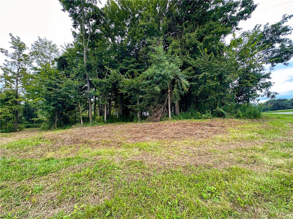 West River Road Wakeman, OH 44889 - Photo 6 of 8 Gallery Image 6