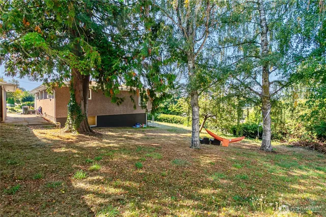 a view of a tree in the middle of a yard