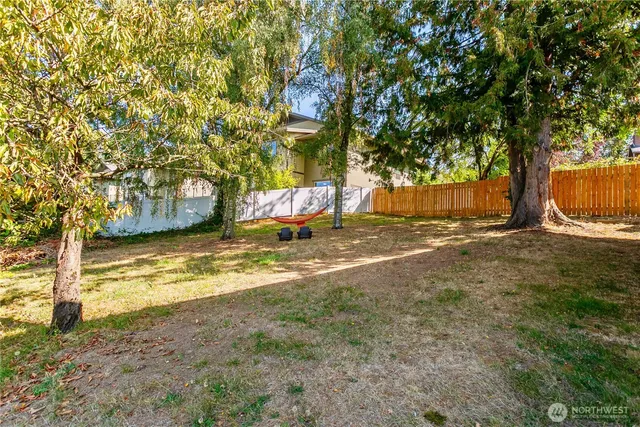 a view of yard with trees