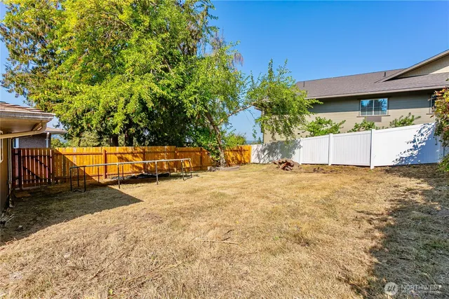 a view of a backyard