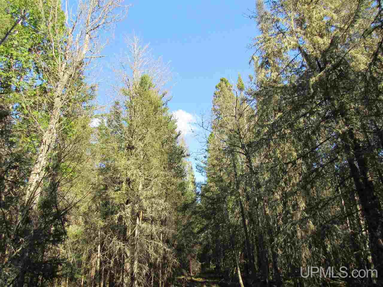 M28 (west) Lanse, MI 49946 - Photo 24 of 30