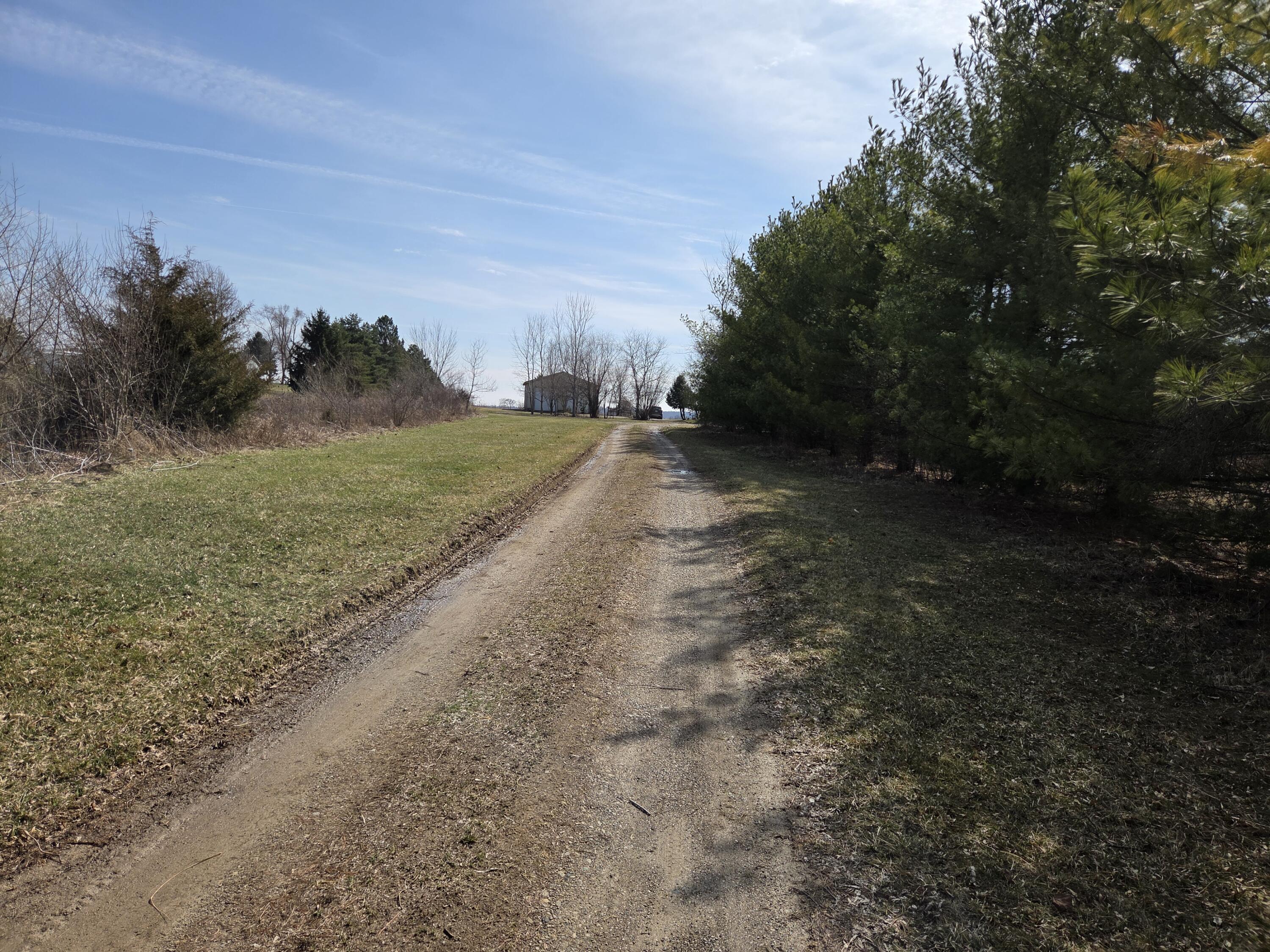 13631 Bemis Road Manchester, MI 48158 - Photo 28 of 33 Driveway