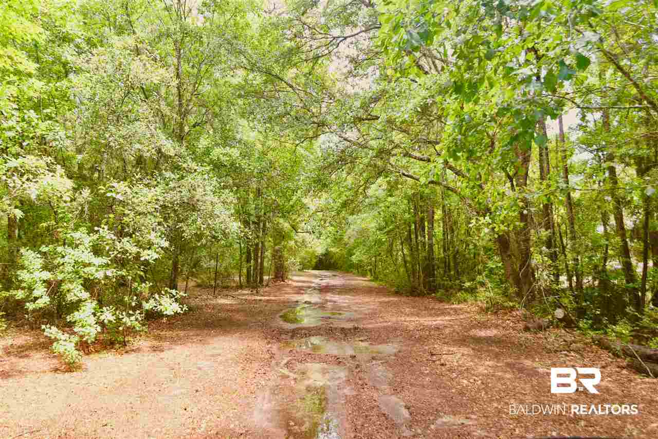 22011 Creek Road Gulf Shores, AL 36542 - Photo 42 of 49