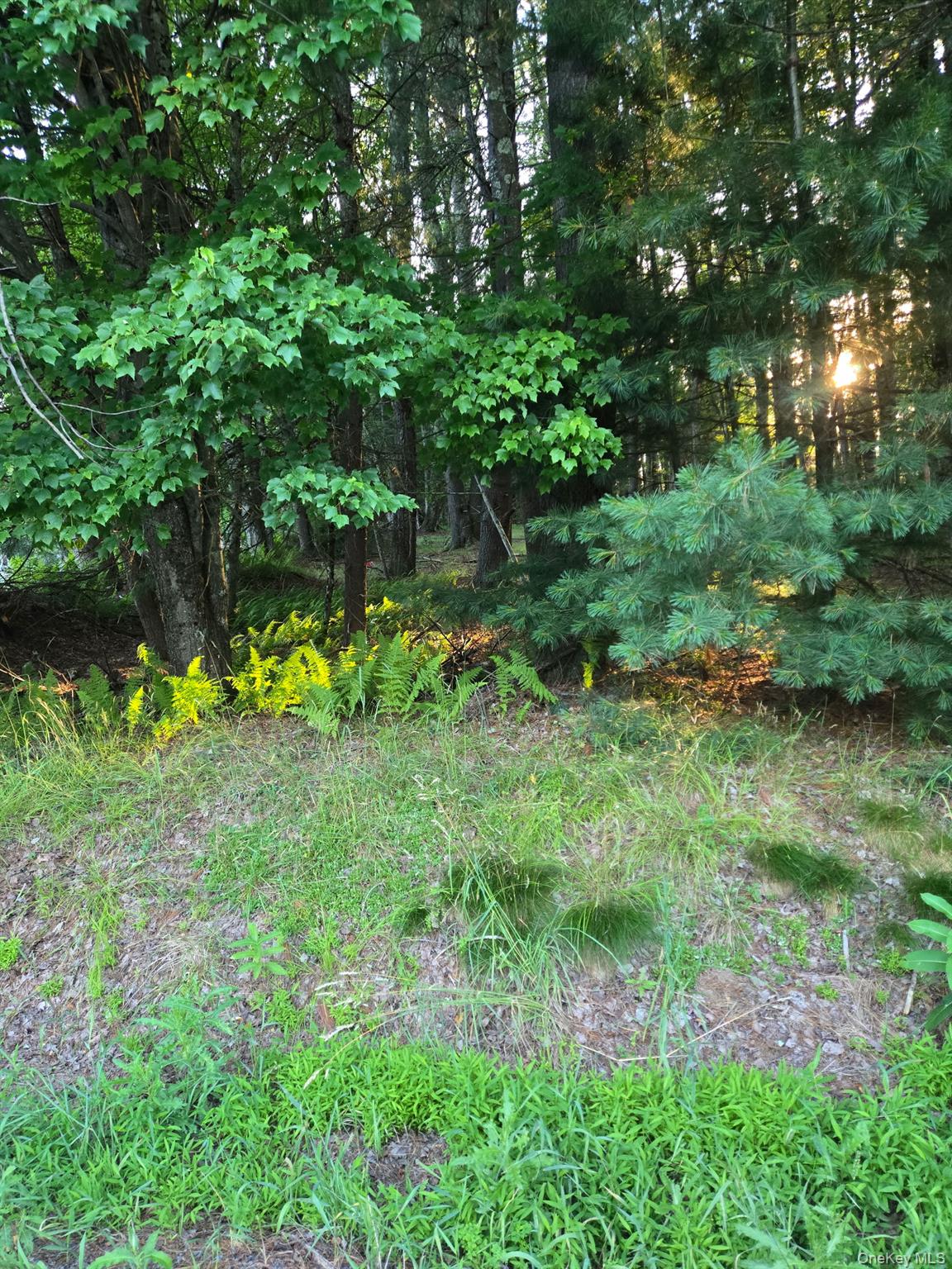 Horseshoe Lake Road Narrowsburg, NY 12764 - Photo 2 of 5
