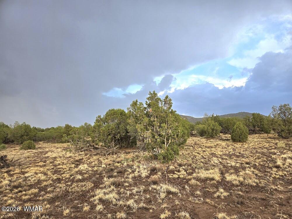 Lot 9 Pinon Valley Ranch Concho, AZ 85924 - Photo 11 of 12