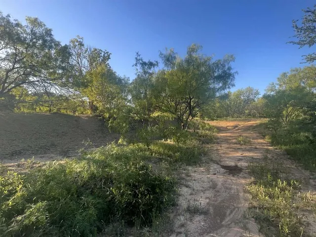 a view of a lake from a yard