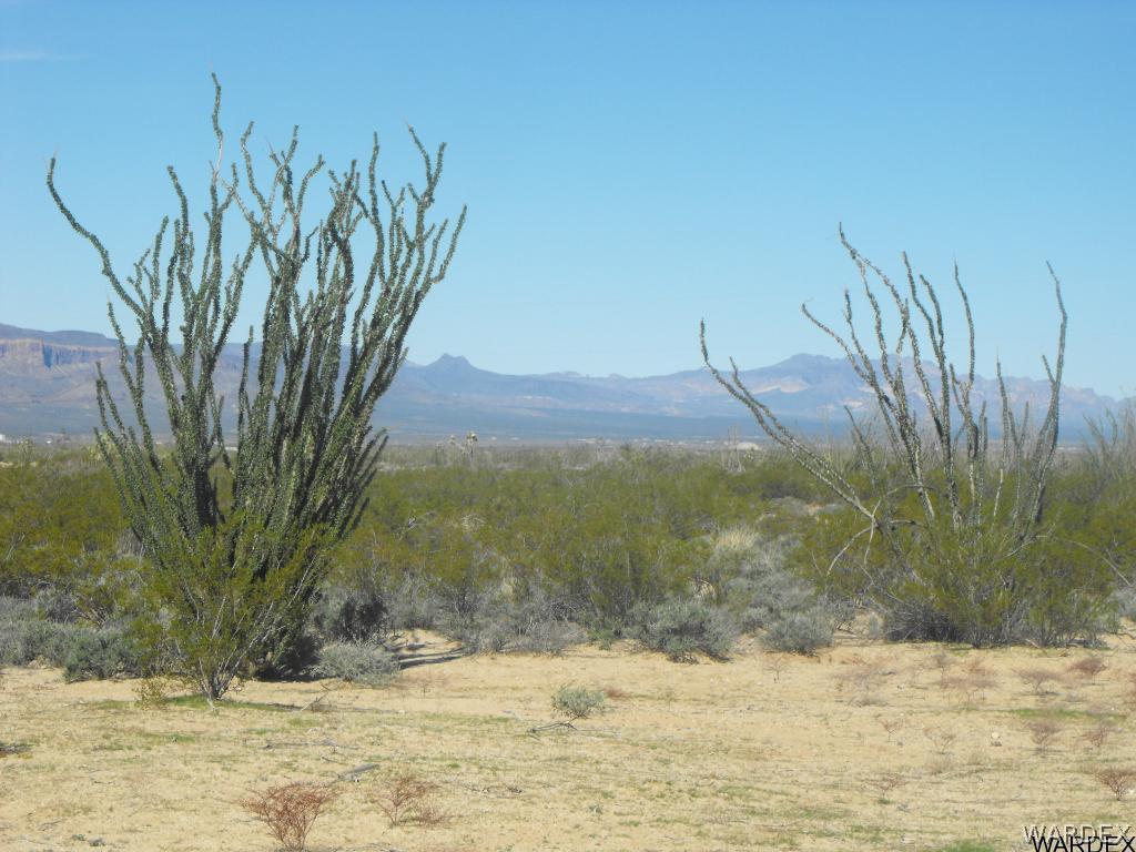 0 West Knox Road Yucca, AZ 86438 - Photo 1 of 11