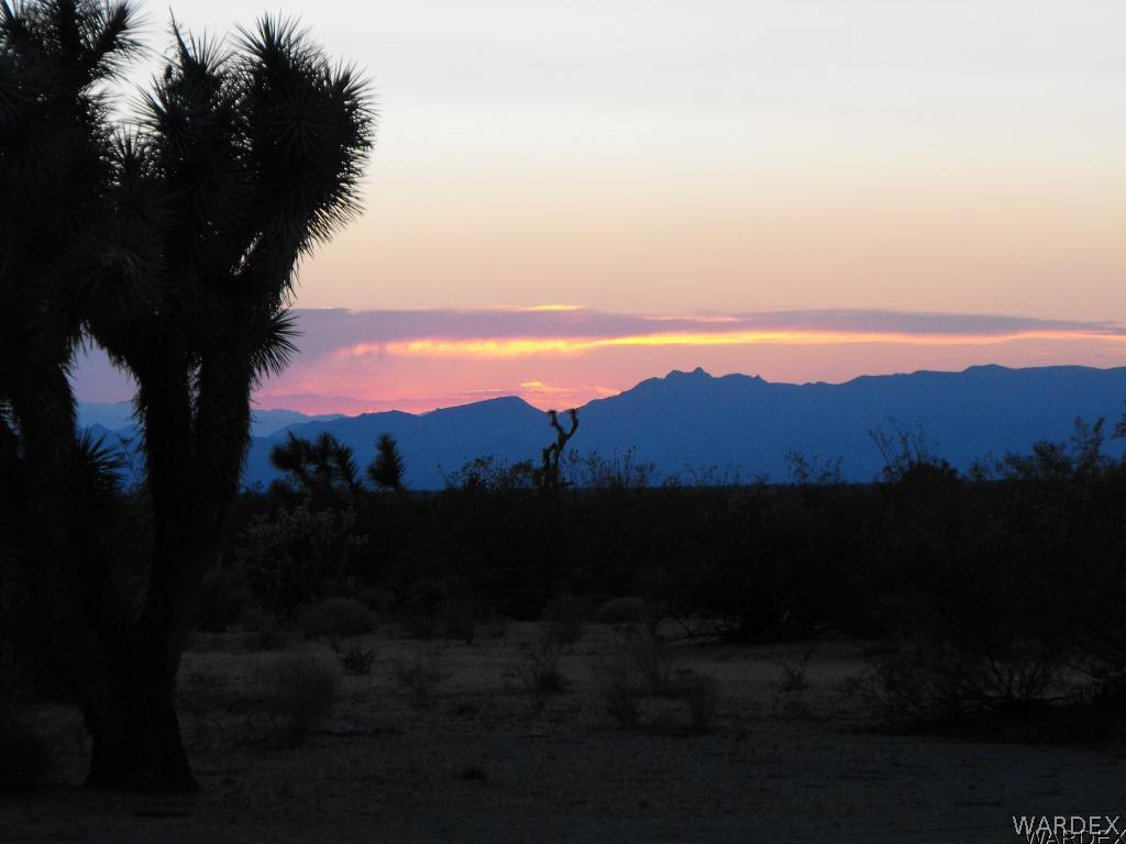 0 West Knox Road Yucca, AZ 86438 - Photo 11 of 11