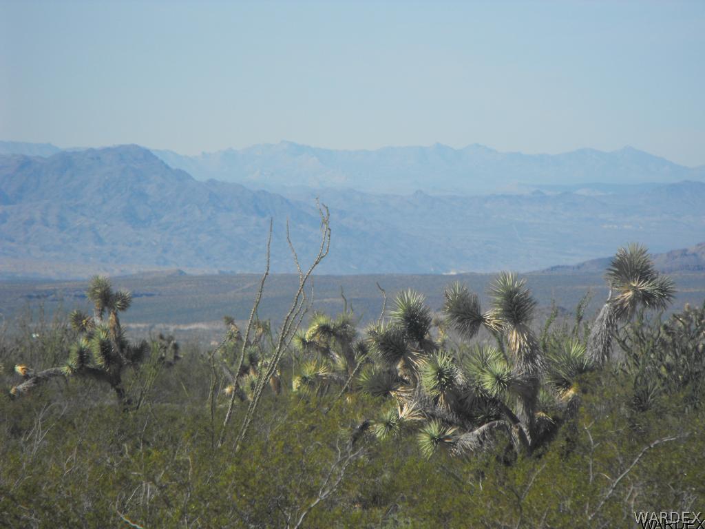 0 West Knox Road Yucca, AZ 86438 - Photo 3 of 11