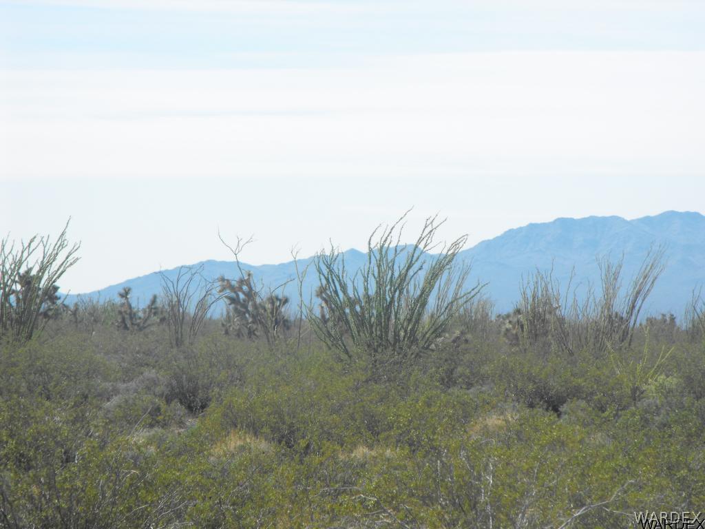 0 West Knox Road Yucca, AZ 86438 - Photo 4 of 11
