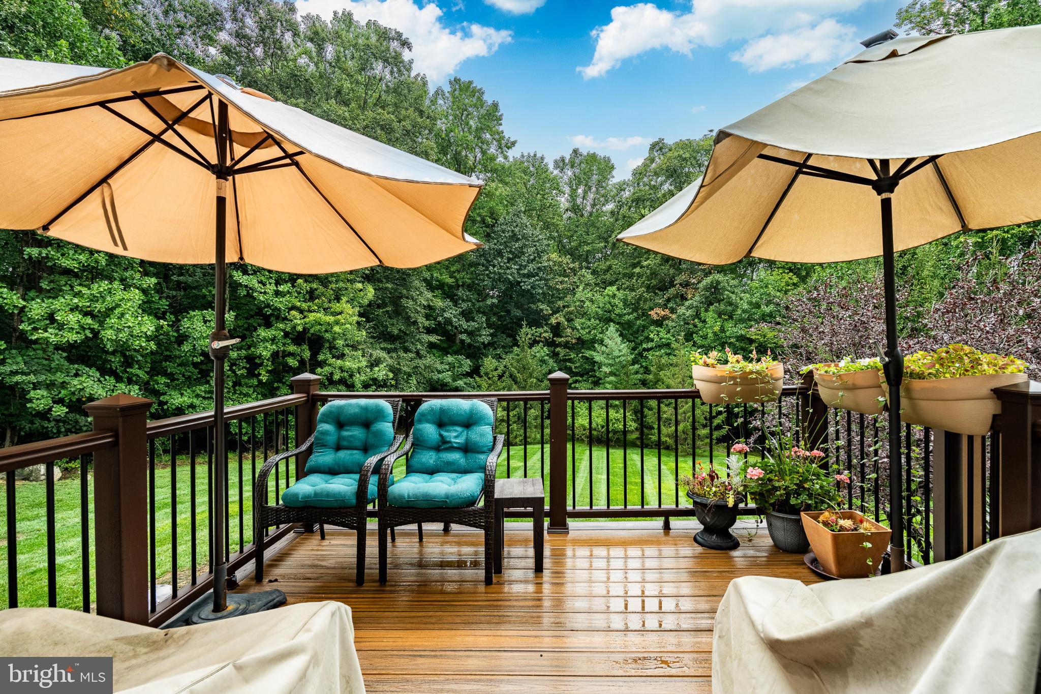 71 Dresner Circle Upper Chichester, PA 19061 - Photo 39 of 46 a view of outdoor space yard and patio