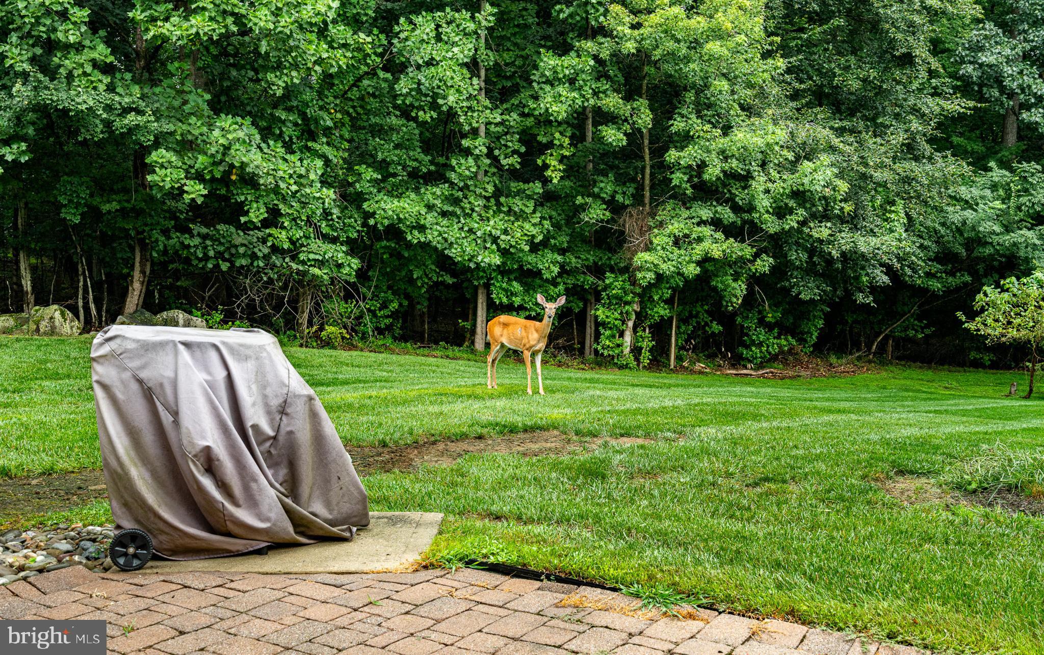 71 Dresner Circle Upper Chichester, PA 19061 - Photo 43 of 46 a view of a backyard with plants and trees
