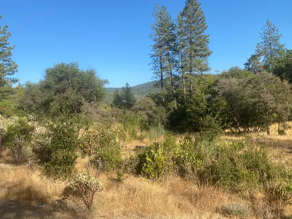 $35,000 | 13911 Ingersoll Drive, Dobbins, CA 95935