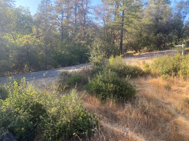 a view of a lake with a yard