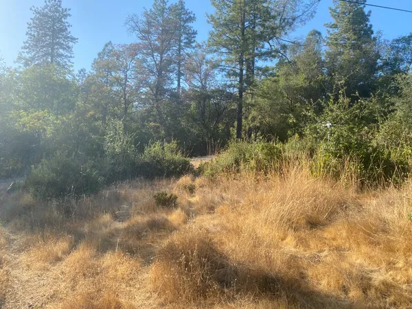 $35,000 | 13911 Ingersoll Drive, Dobbins, CA 95935
