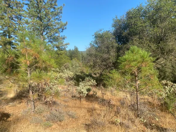 $35,000 | 13911 Ingersoll Drive, Dobbins, CA 95935