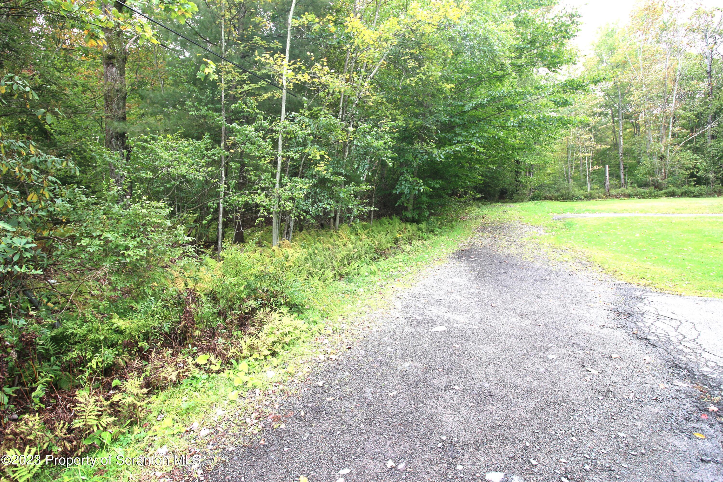 Elm Street Moscow, PA 18444 - Photo 1 of 9 a view of yard with green space
