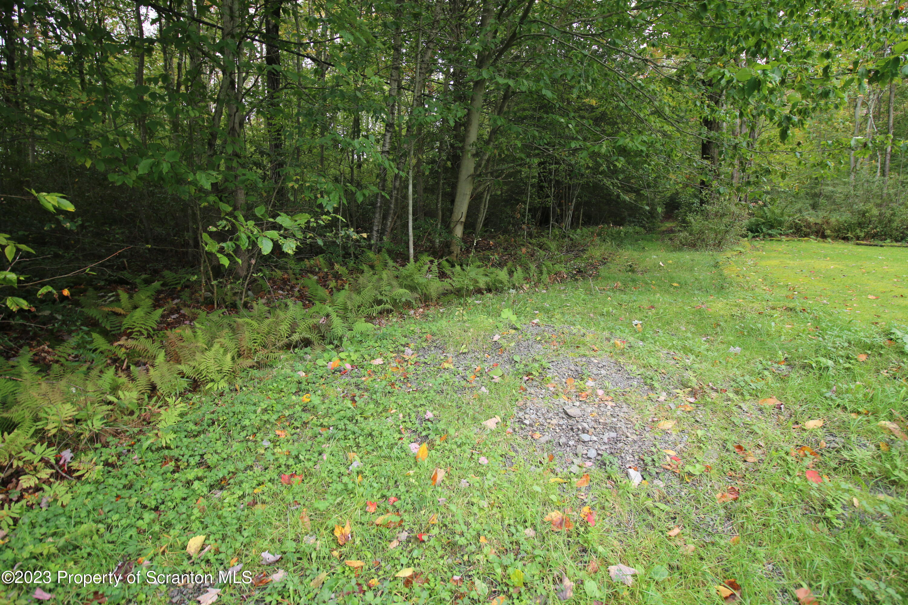 Elm Street Moscow, PA 18444 - Photo 2 of 9 a view of outdoor space and green space