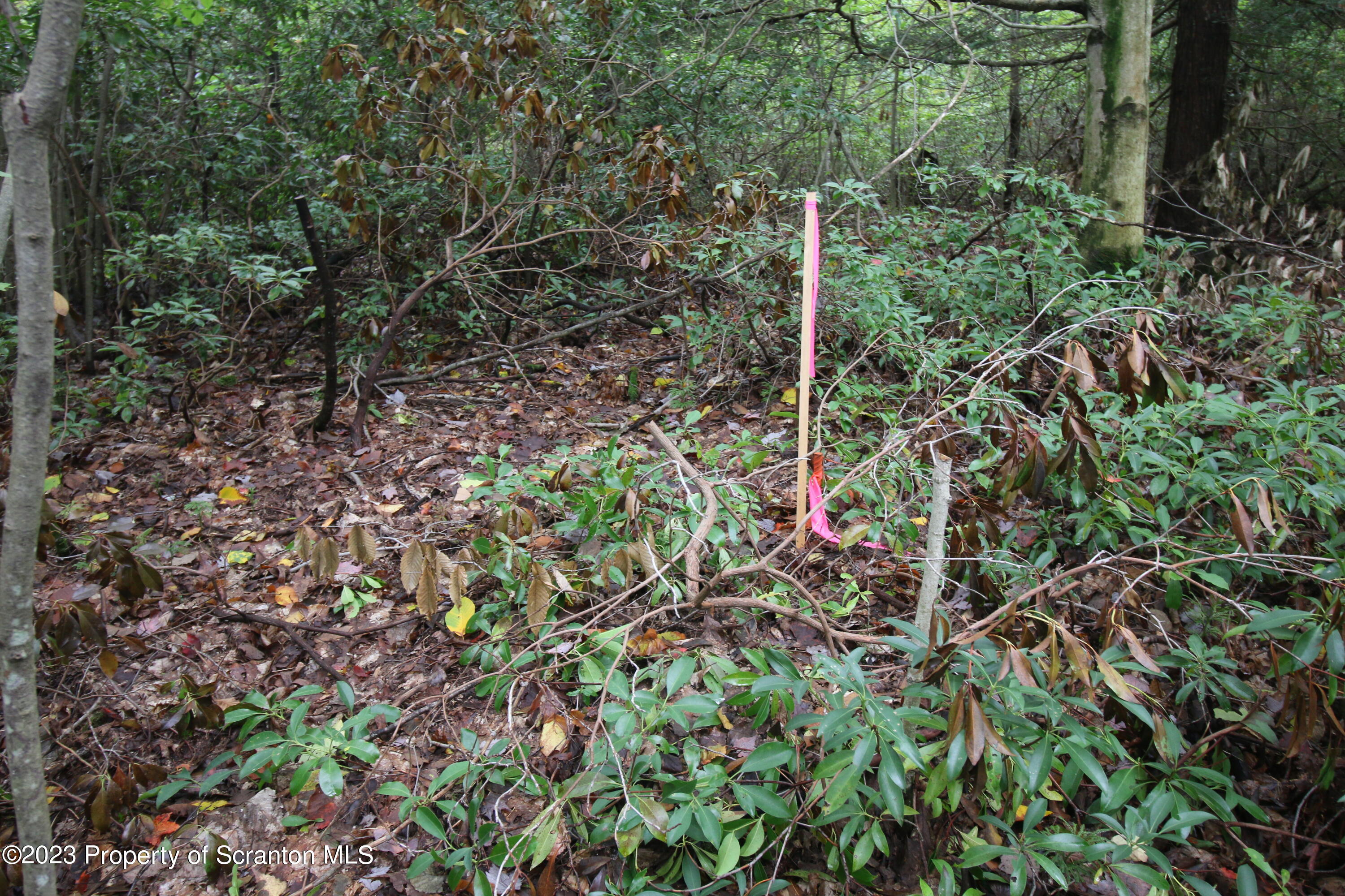 Elm Street Moscow, PA 18444 - Photo 5 of 9 a backyard of a house with lots of green space and a fountain