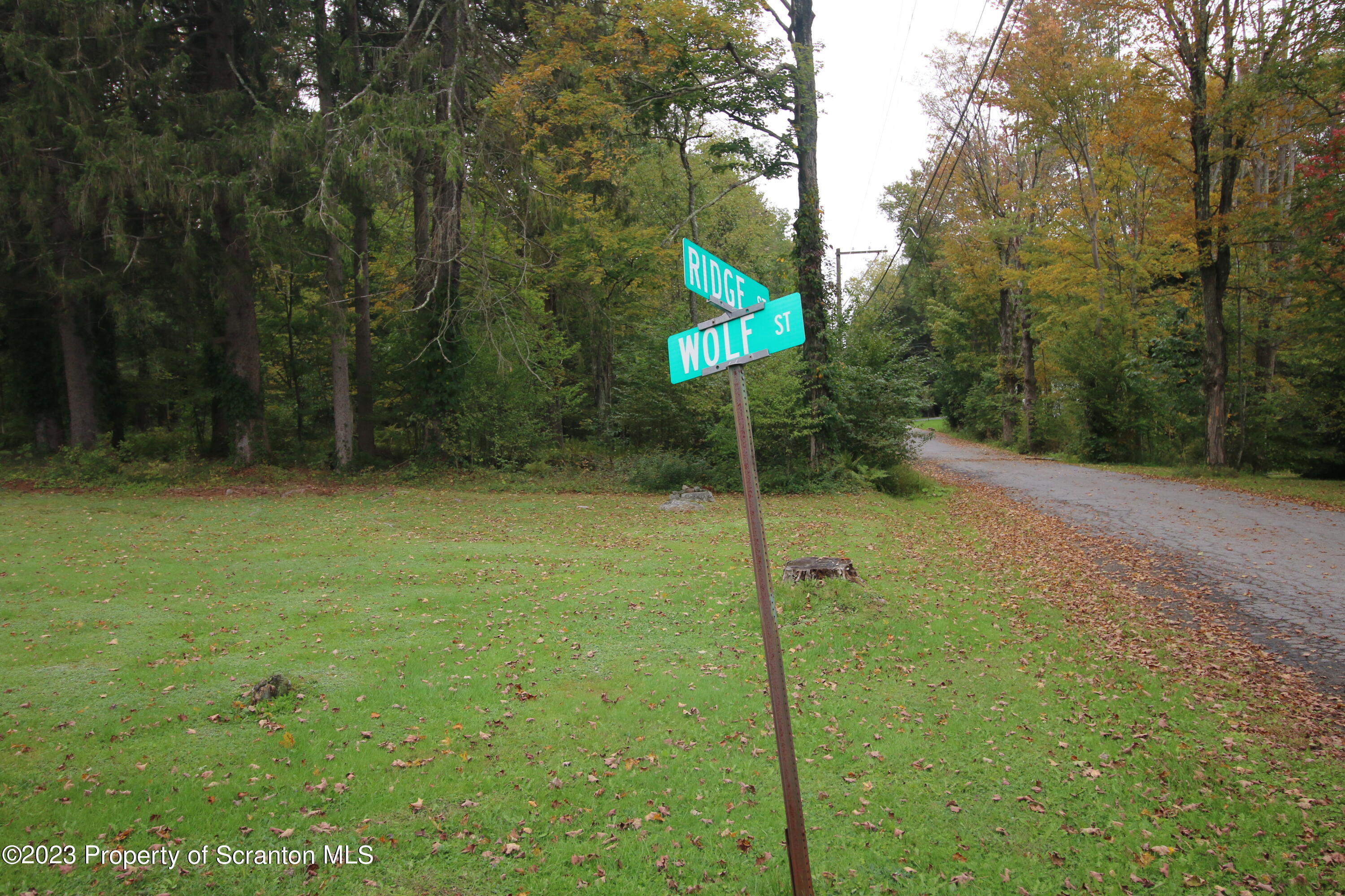 Elm Street Moscow, PA 18444 - Photo 7 of 9 a fire hydrant in the middle of a field