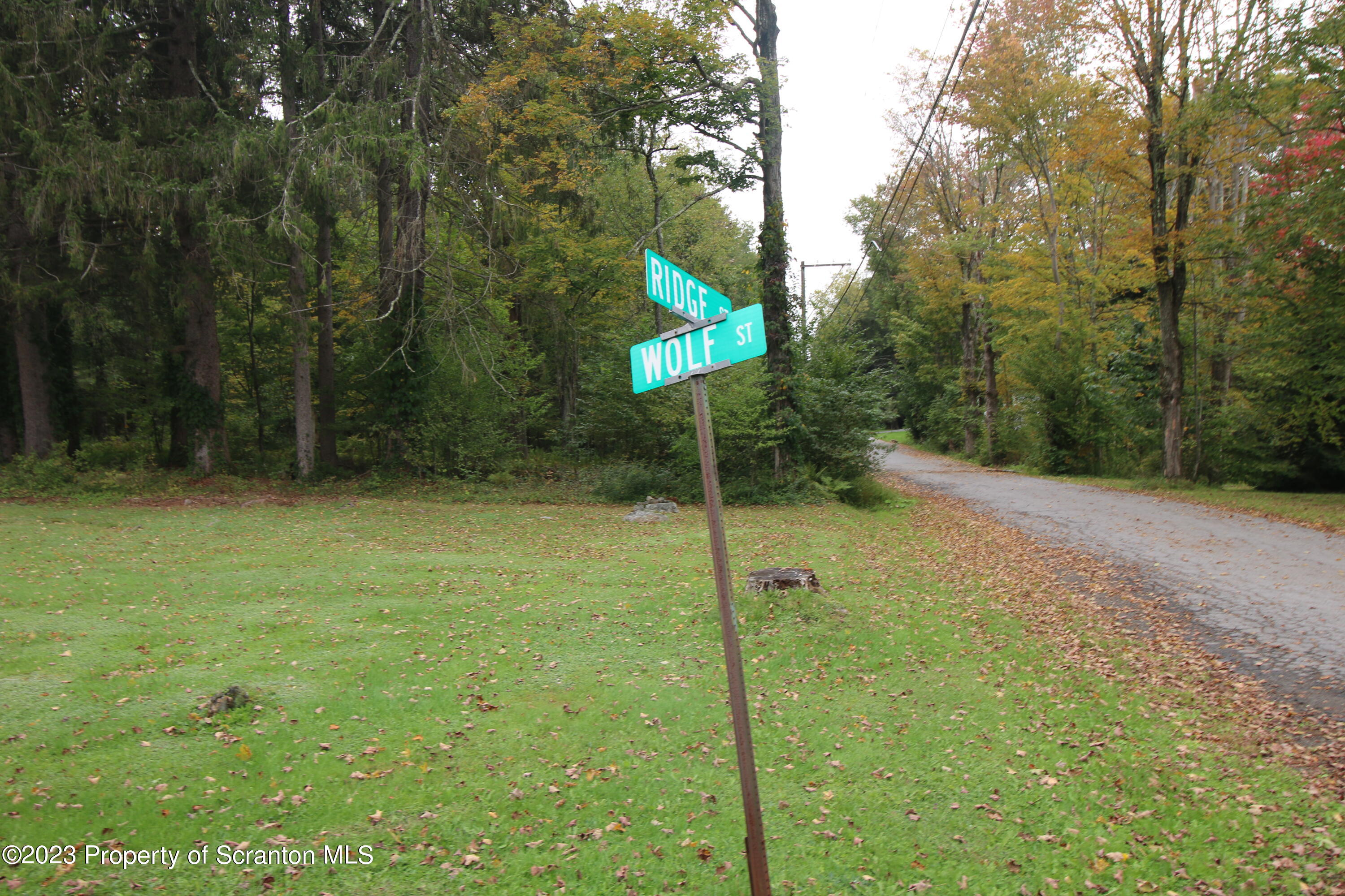 Elm Street Moscow, PA 18444 - Photo 8 of 9 a view of a back yard