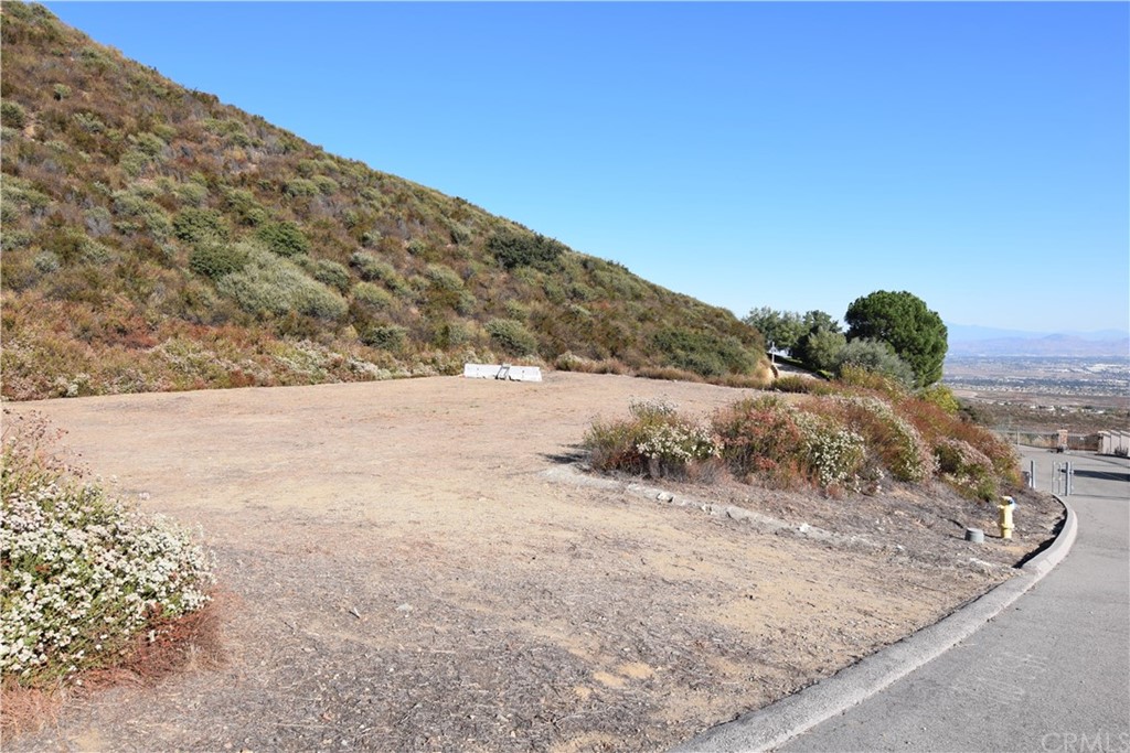 10150 Snowdrop Road Alta Loma, CA 91737 - Photo 1 of 1 a view of a dry yard with a mountain