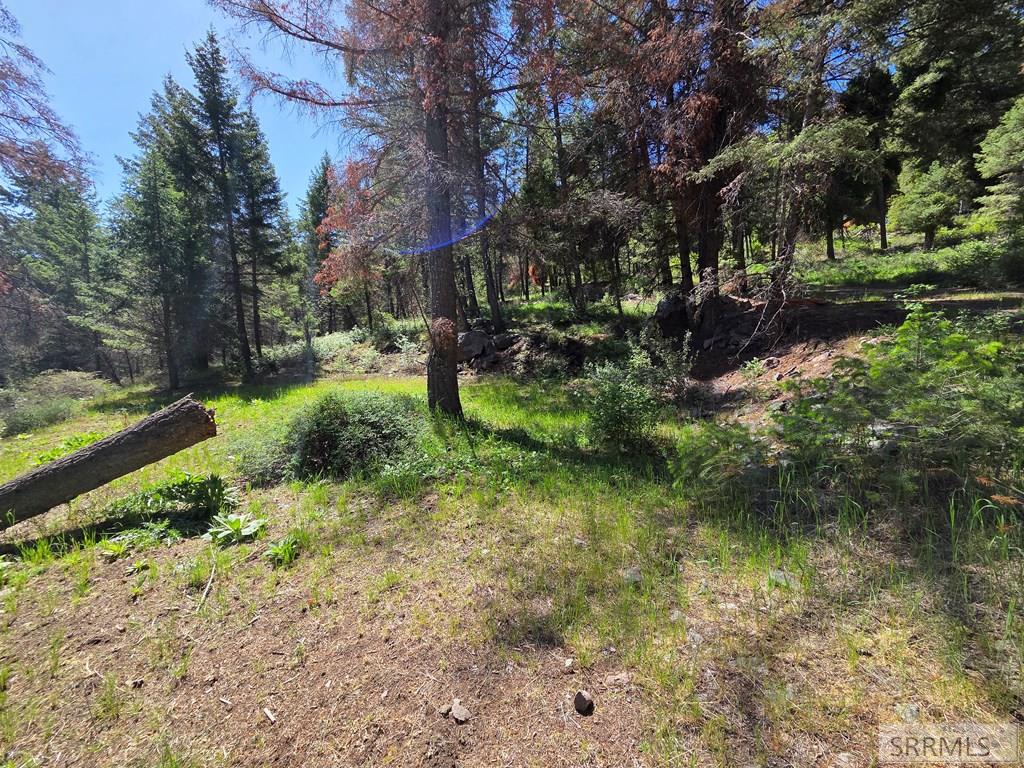 21 Pinetree Drive Salmon, ID 83467 - Photo 53 of 71