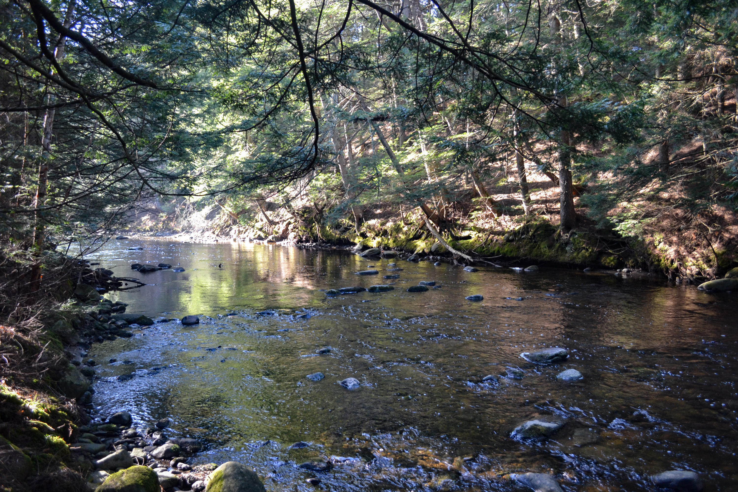 87 Stevens Road Unity, ME 04988 - Photo 115 of 116 87Stevens (21 of 22)