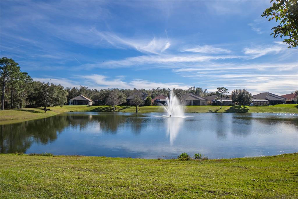1148 West Diamond Shore Loop Hernando, FL 34442 - Photo 60 of 75