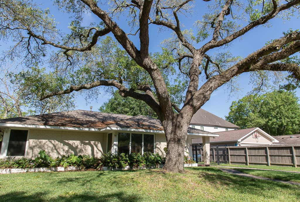 9010 Linkmeadow Lane Houston, TX 77025 - Photo 5 of 39 a view of house with a yard
