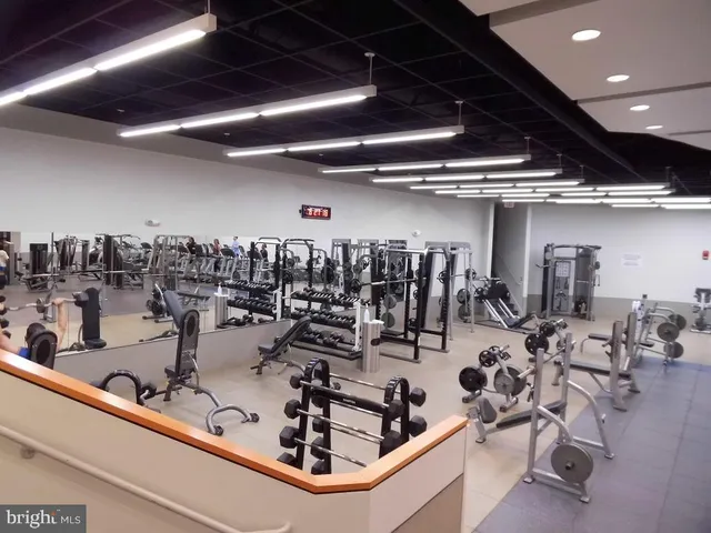 a view of a deck with a big yard and large trees