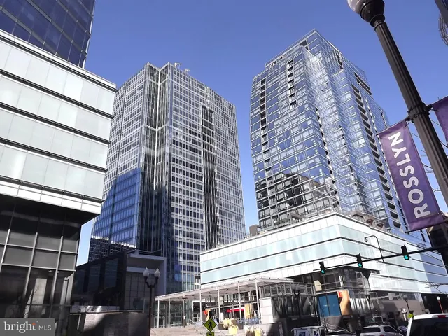 a view of a yard covered with snow and trees