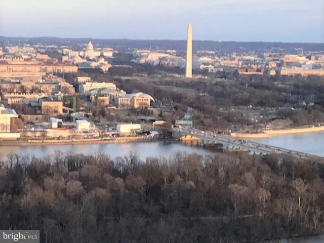 a view of a bunch of flowers