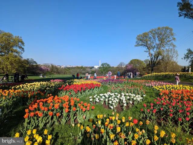 $1,750 | 1011 Arlington Boulevard, Unit 627, Arlington, VA 22209