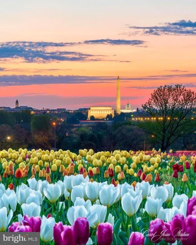 $1,750 | 1011 Arlington Boulevard, Unit 627, Arlington, VA 22209