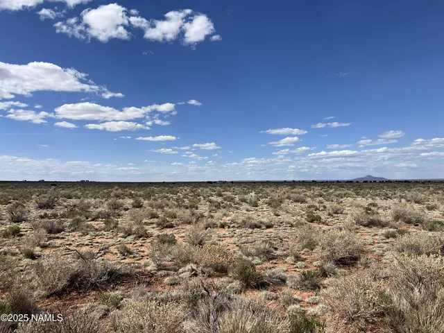 $12,000 | 2353 East Doris Drive, Williams, AZ 86046