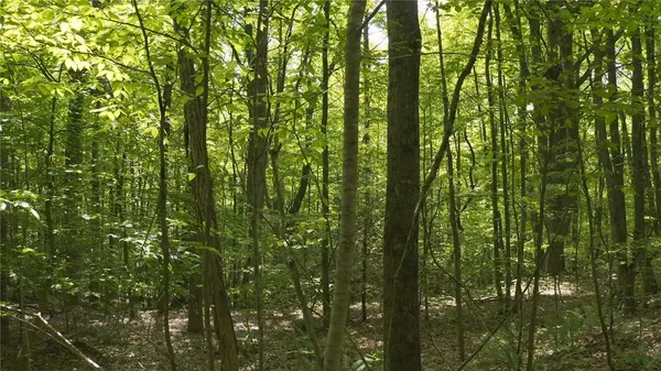 $150,000 | 0 Christina Way, North Smithfield, RI 02896