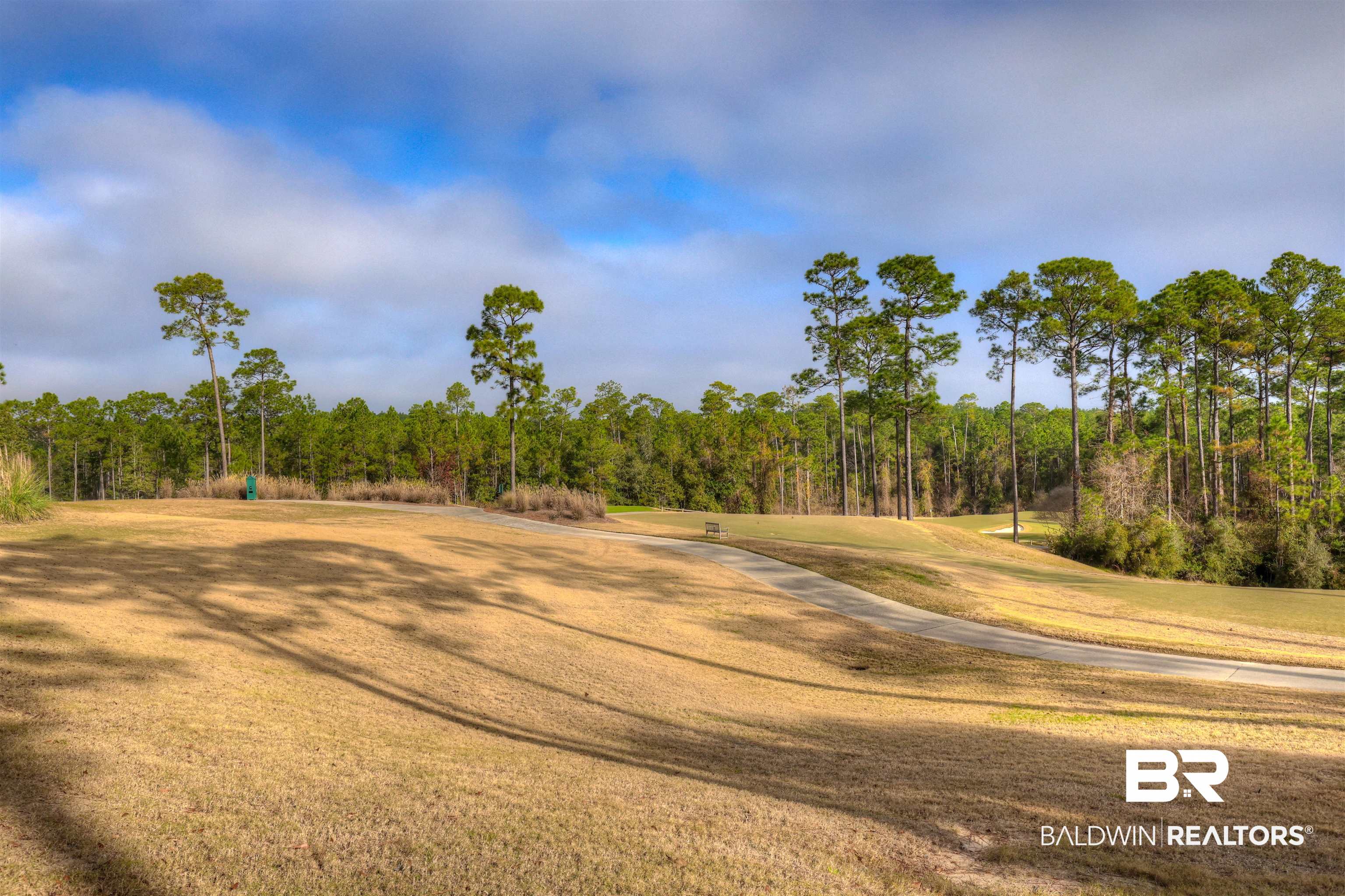 33760 Steelwood Ridge Road, Unit 2 Loxley, AL 36551 - Photo 11 of 22 #12 Teebox